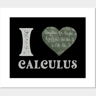 Funny women calculus teacher i love calculus Posters and Art